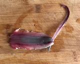 Foto del paso 1 de la receta: Boquerones en vinagre