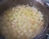 A picture of step 4 of Tutti frutti made from water melon peels/rind.