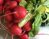 Une image de l'étape 5 de Salade de printemps aux radis cerises et mozzarella di buffala.