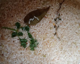Foto del paso 2 de la receta: Arroz pilaf