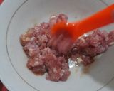 Foto langkah ke 3 dari resep Pangsit Kuah Tanpa dibungkus by jesslyn orlane.