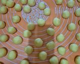 Foto langkah ke 5 dari resep Palm Cheese Cookies.