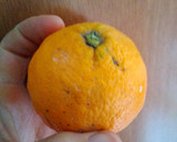 Foto del paso 1 de la receta: Mug cake de naranja
