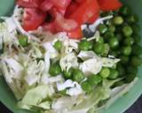 Veg vermicelli recipe step 1 photo