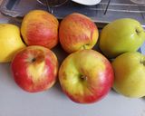 Rebarbarás🌿 almás,🍓 cseresznyés 🍒epres🍎 dzsem🍊 recept fázis 1 fotója