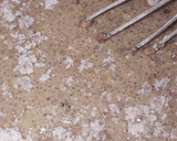 Foto del paso 2 de la receta: Mini torta de café (en la estufa)