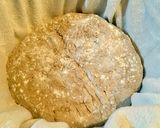 Foto do passo 2 de Pão integral de fermentação naturalPain aú levain naturel
