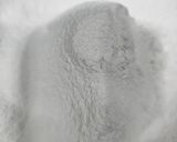 Foto del paso 1 de la receta: Romanesco y rábanos, en pasta orly