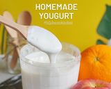 Foto langkah ke 4 dari resep Youghurt.