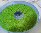 Foto langkah ke 4 dari resep Agar-Agar Hijau Lumut.