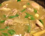 A picture of step 6 of Thai green chicken curry (gaeng kiaw wan gai).
