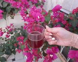 عکس مرحله 2 از دستور چای هسته آلبالو