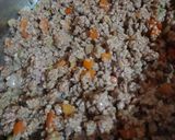Foto del paso 7 de la receta: Salsa TIPO Boloñesa a mi manera