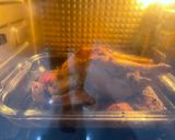 Foto langkah ke 5 dari resep Roasted chicken with garlic herb.