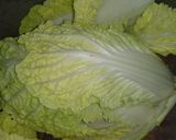 Foto langkah ke 1 dari resep Kimchi ala ala.