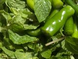 ફુદીના ની ચટણી (Pudina Chutney Recipe In Gujarati)