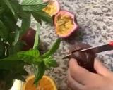 Une image de l'étape 8 de Panna cotta mange 🥭passion 🍅🌱menthe Pouliot🌿.