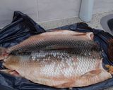 Foto del paso 2 de la receta: Sábalo a la parrilla