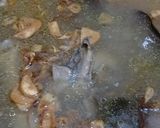 Foto langkah ke 4 dari resep Soto Ceker dan Tulang Kerongkongan Ayam Kuah Bening.