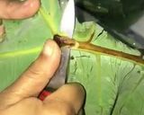 A picture of step 2 of Arvi leaf.