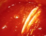 Foto del paso 5 de la receta: Dulce de guayaba en bloque