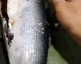 Foto langkah ke 6 dari resep OTAK-OTAK BANDENG.