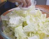 Korean Kimchi recipe step 1 photo