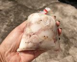 รูปขั้นตอนการทำที่ 4 ของ แหนมหมูสามชั้น