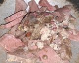 Foto langkah ke 1 dari resep Semur Daging Endesss.
