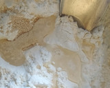 Foto del paso 1 de la receta: Ciabatta