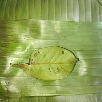 Langkah 3