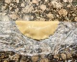 Foto del paso 7 de la receta: Empanadillas de anís rellenas con dulce de Boniato