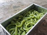 Cendol Dawet
