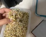 Foto del paso 15 de la receta: Germinados 🌱 lentejas orgánicos