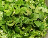 લીલી ચટણી (Green Chutney Recipe In Gujarati) રેસીપી સ્ટેપ2ફોટો