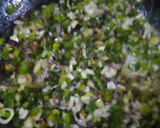 Foto del paso 1 de la receta: Salsa roja
