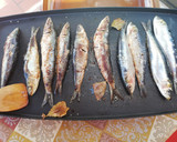 Foto del paso 3 de la receta: Sardinas de Huelva asadas con laurel 🌿🐟🍃