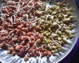 স্প্রাউট স্যালাড রেসিপি(Sprouts salad recipe in bengali) রেসিপির ধাপ 4 ছবি
