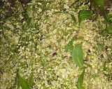 A picture of step 1 of Neem Flowers Vada.