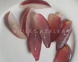 Foto langkah ke 6 dari resep MPASI Cara Memberikan Buah Anggur Pada Bayi.