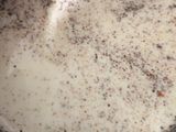 Salsa blanca