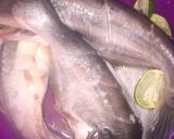 Foto langkah ke 1 dari resep 89 Ikan Patin Bakar.