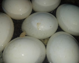 முட்டை மிளகு மசாலா ரெசிபி ஸ்டேப் 1 புகைப்படம்