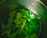 A picture of step 1 of Wheatgrass juice.