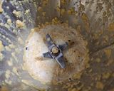 A picture of step 3 of Beans cooked with flavoured dal (Beans paruppu usli).
