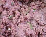 सोयाबीन बीटरूट की गुलाबी टिकियां (soyabean beetroot ki gulabi tikiya recipe in Hindi) रेसिपी चरण 5 फोटो