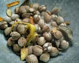 Foto langkah ke 6 dari resep Kerang Dara Nyemek.
