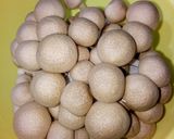 Hình bước làm 1 của món Canh Sườn Nấm Linh Chi