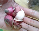 Foto langkah ke 1 dari resep Nasi Uduk 🍚.
