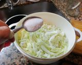 Foto del paso 3 de la receta: Chucrut alemán ultra simple dos ingredientes